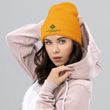 Load image into Gallery viewer, Spicer Inc Cuffed Beanie